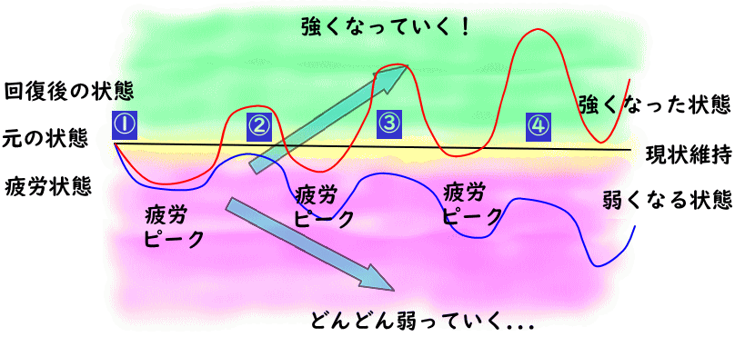 超回復理論の解説イラスト
