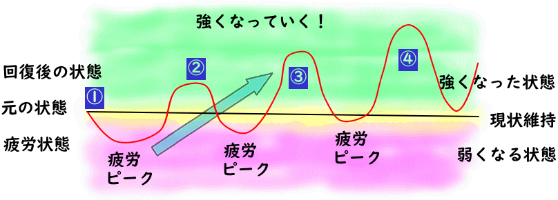 超回復理論で強くなっていくイラスト図