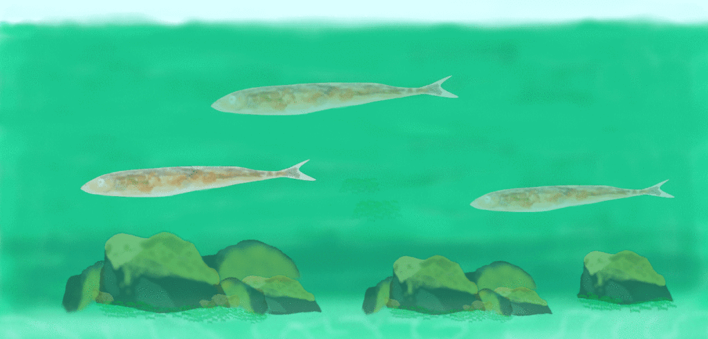 道楽イラスト│たむら整体治療室・町田市