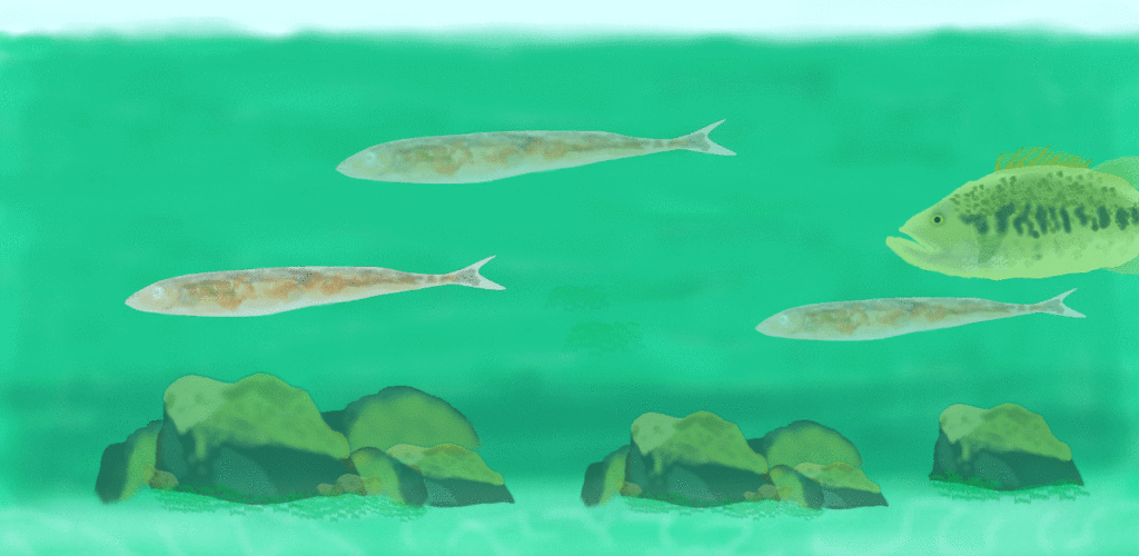 道楽イラスト│たむら整体治療室・町田市