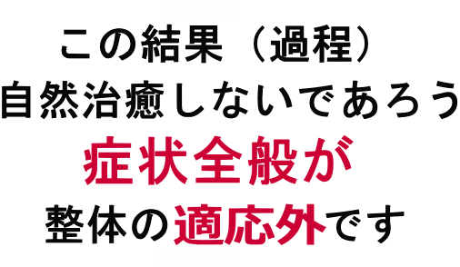 整体の適応症│たむら整体治療室・町田市
